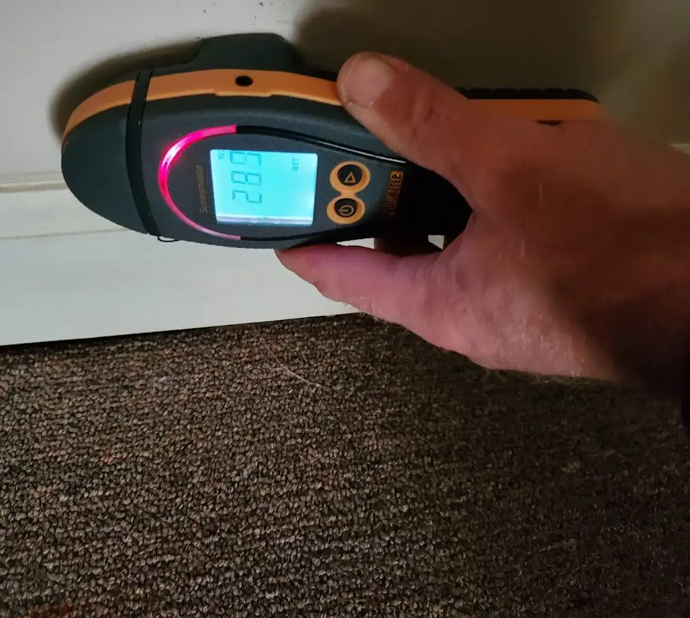 Moisture detection at baseboard during Mold Inspection & Testing in Jaffrey